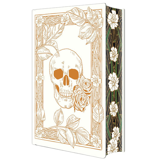 Rain of Shadows and Endings Deluxe Limited Edition