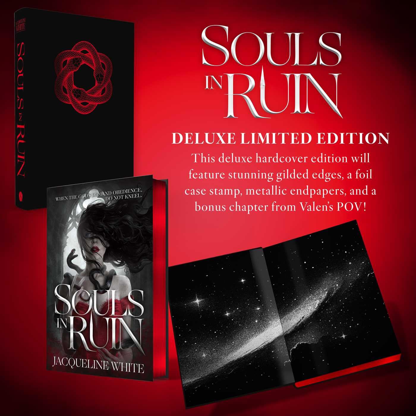 Souls in Ruin Deluxe Limited Edition
