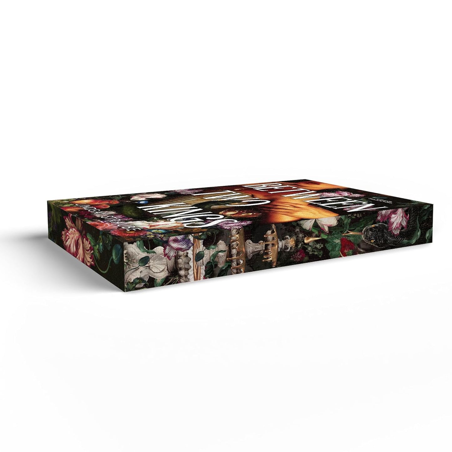 Between Two Kings Deluxe Paperback Edition (A Split or Swallow Novel Book 2)