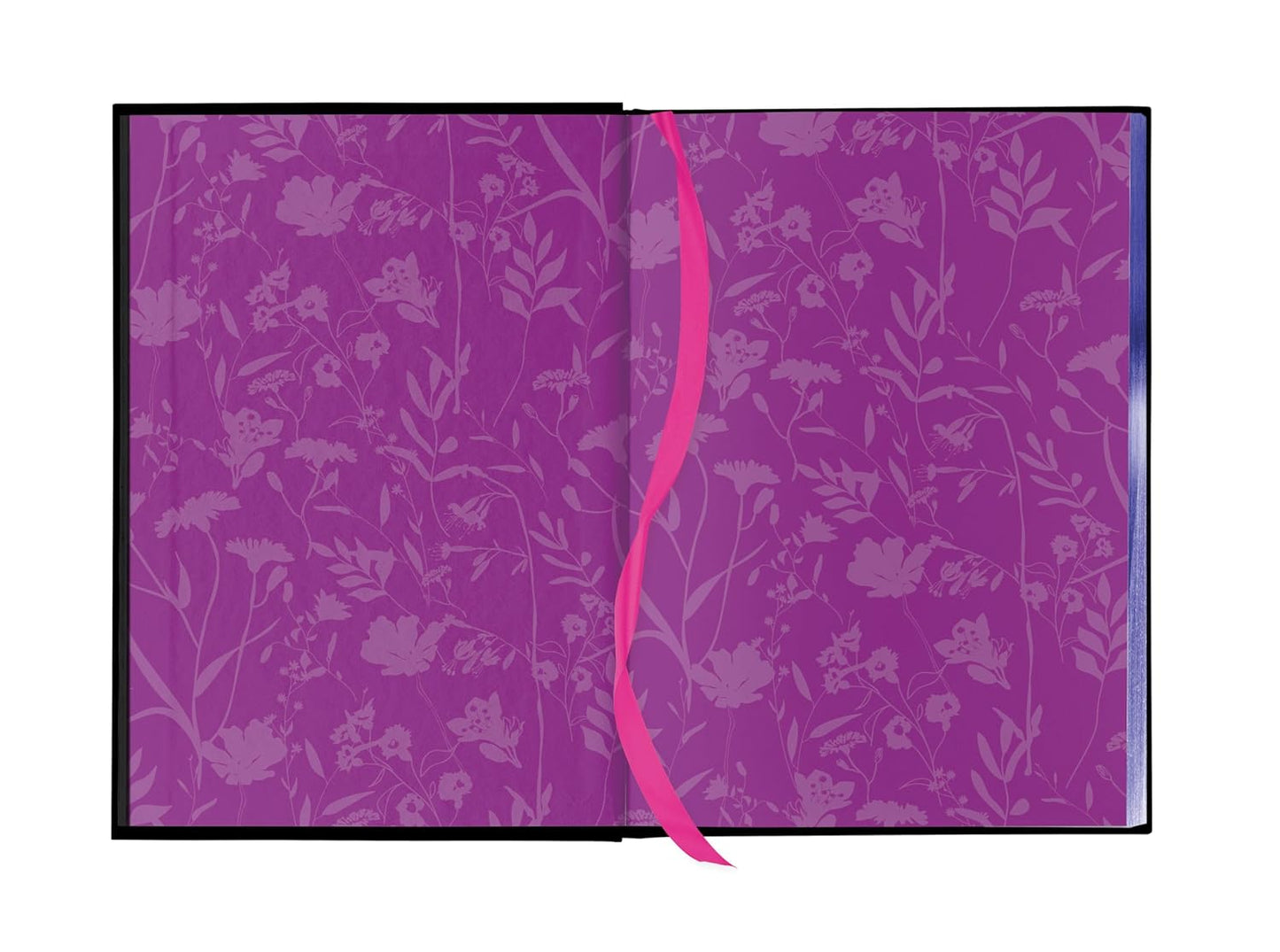 Fairy Tale Retellings Deluxe Edition