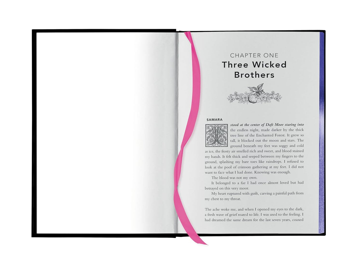 Fairy Tale Retellings Deluxe Edition