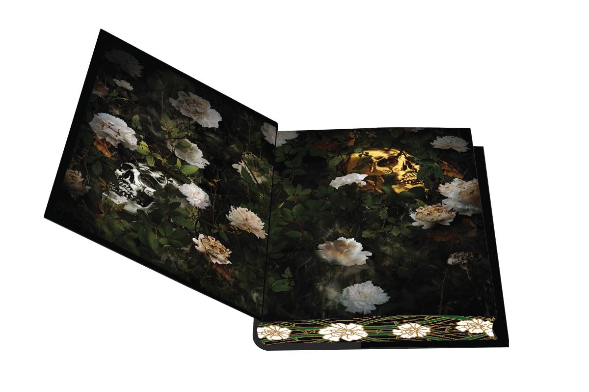 Rain of Shadows and Endings Deluxe Limited Edition