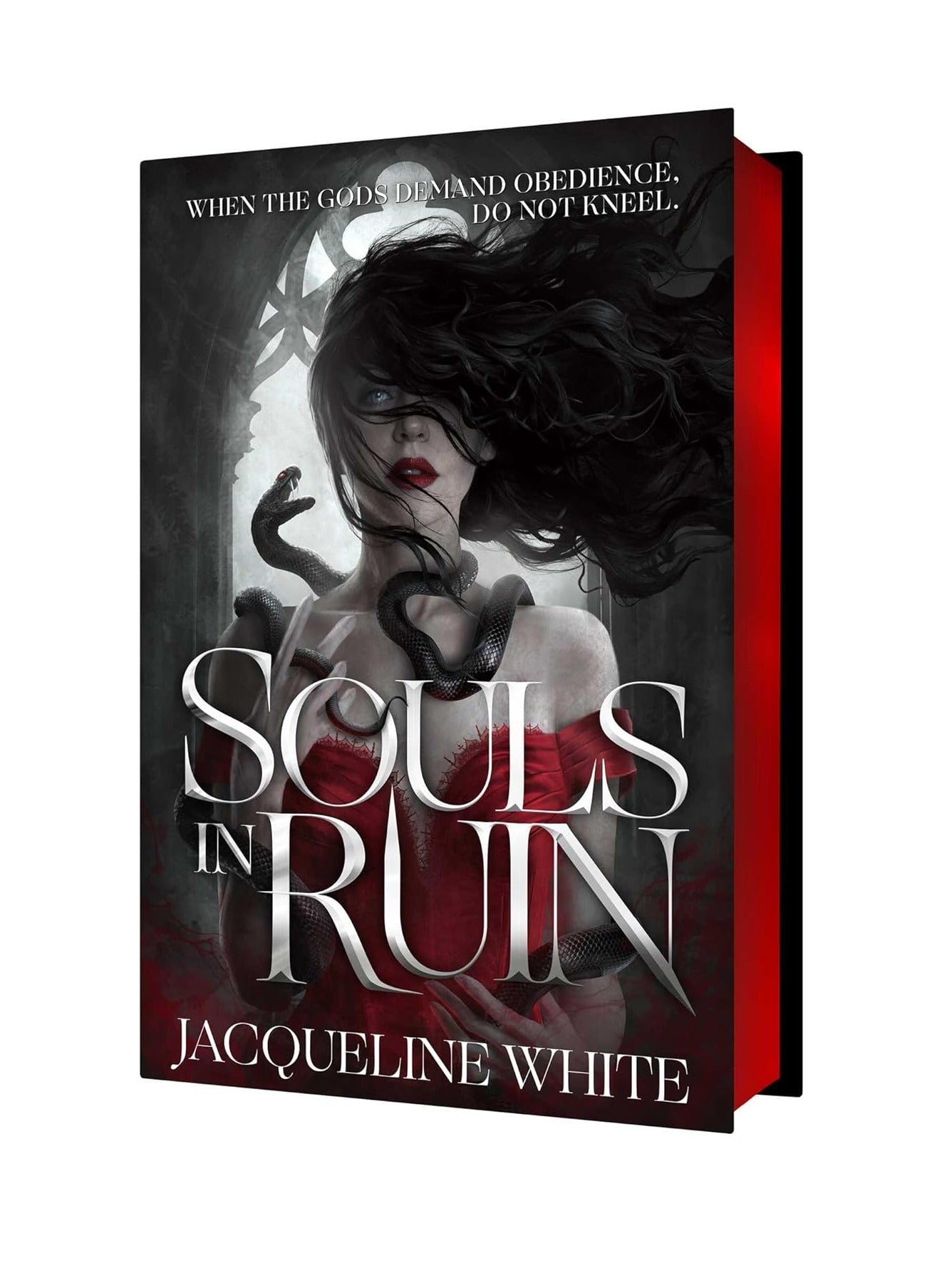 Souls in Ruin Deluxe Limited Edition