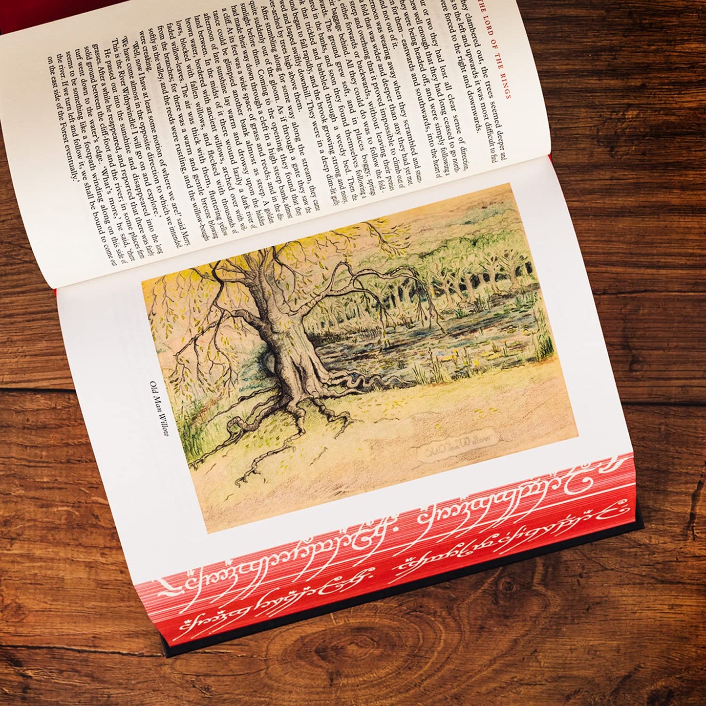 The Lord of the Rings (Special Edition Hardcover)