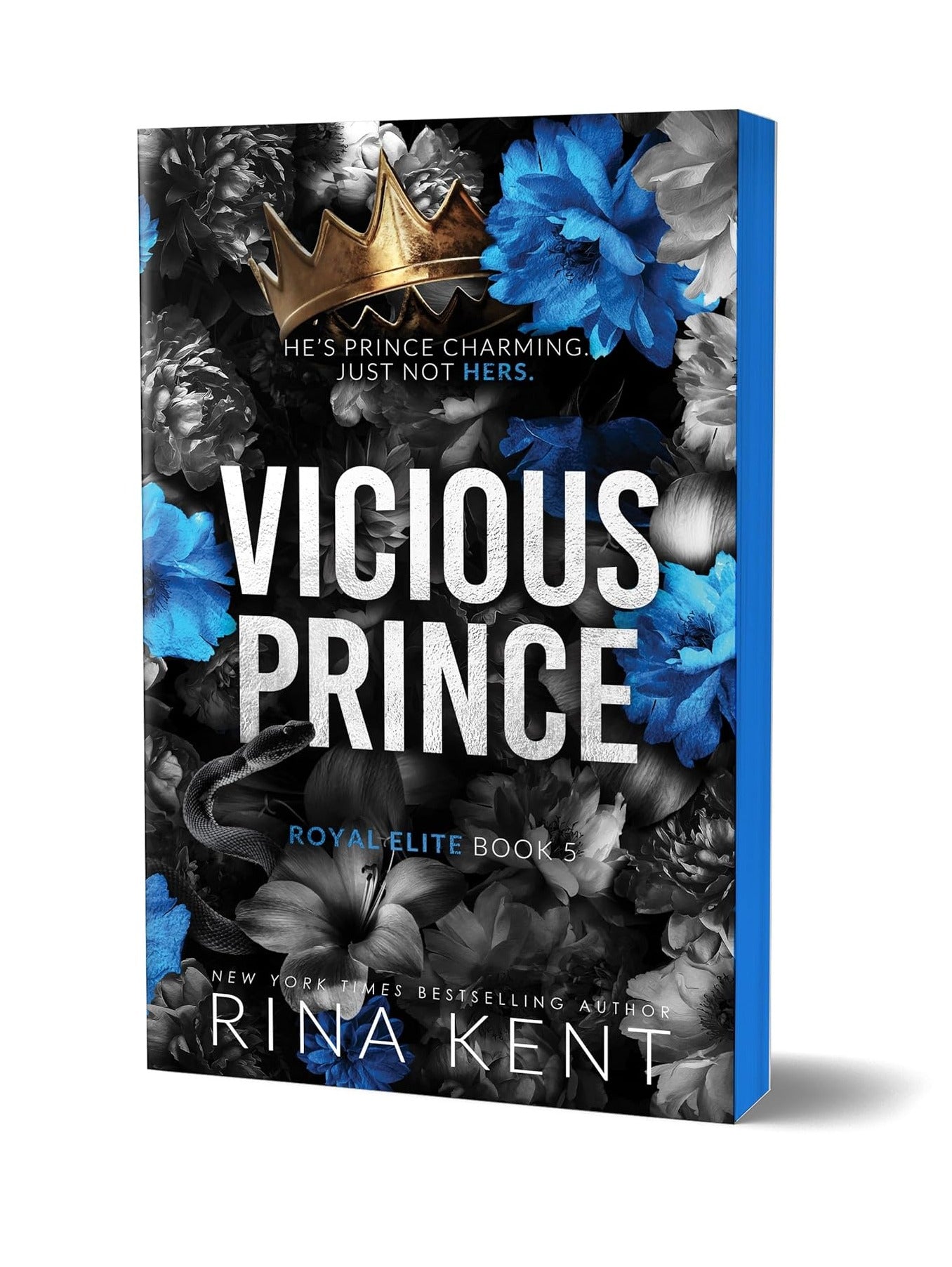 Vicious Prince Deluxe Paperback Edition (Royal Elites, Book 5)
