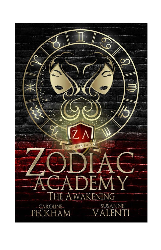 Zodiac Academy 1: The Awakening