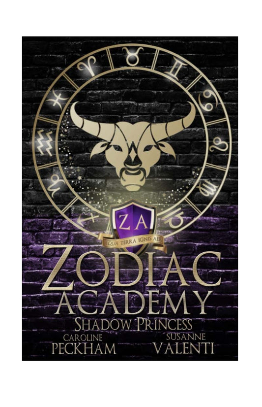 Zodiac Academy 4: Shadow Princess